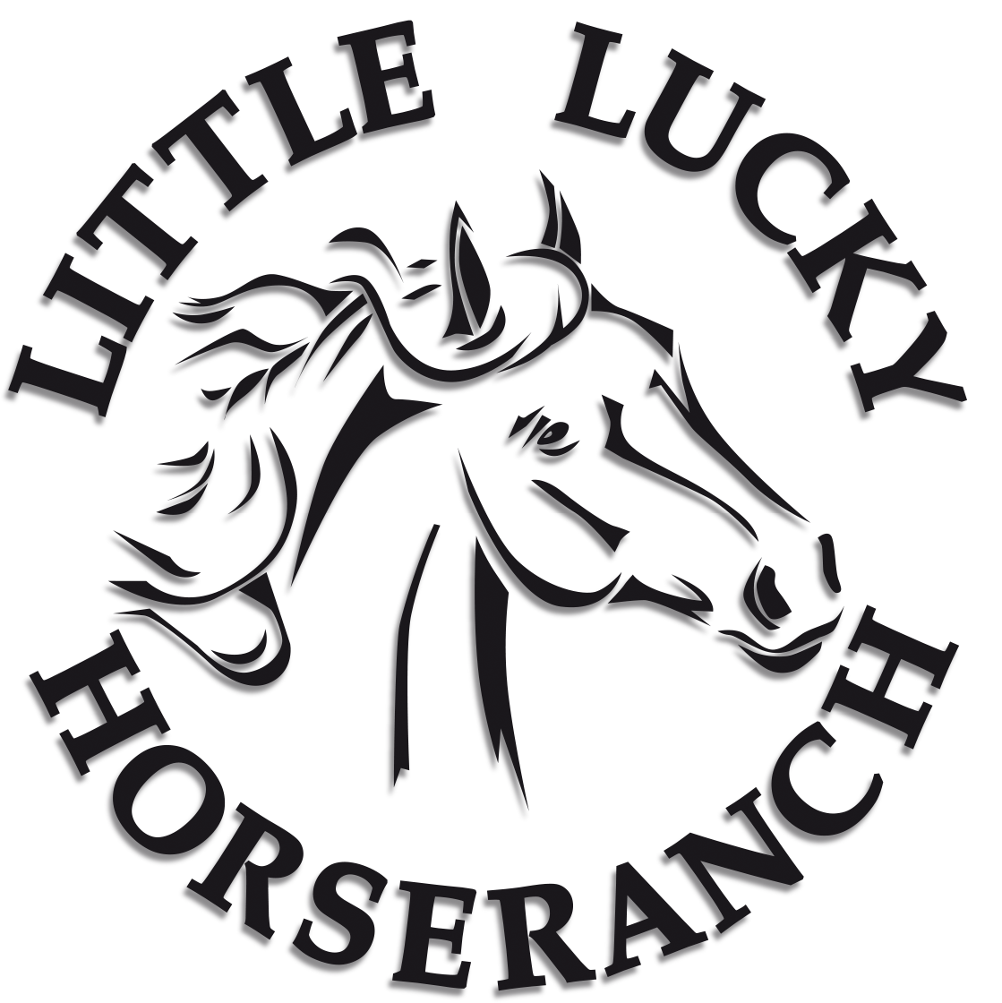 Logo LLH